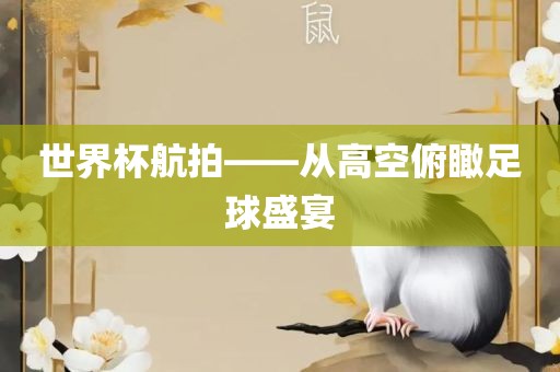 世界杯航拍——从高空俯瞰足球盛宴
