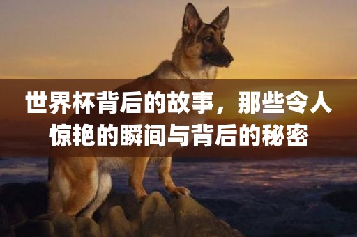 世界杯背后的故事，那些令人惊艳的瞬间与背后的秘密
