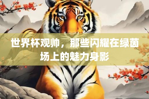 世界杯观帅，那些闪耀在绿茵场上的魅力身影