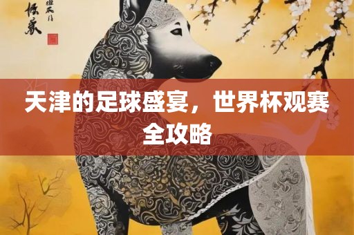 天津的足球盛宴，世界杯观赛全攻略