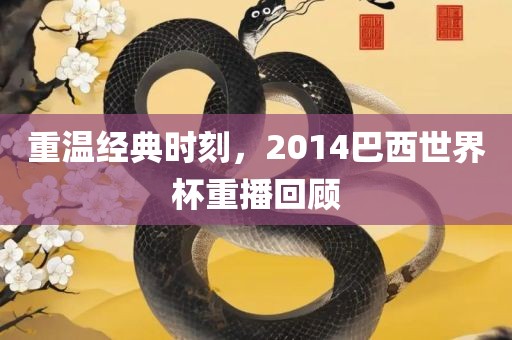 重温经典时刻，2014巴西世界杯重播回顾