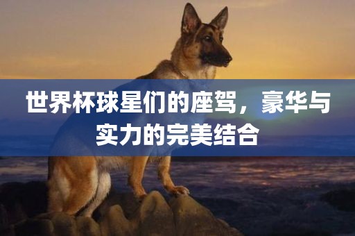 世界杯球星们的座驾，豪华与实力的完美结合