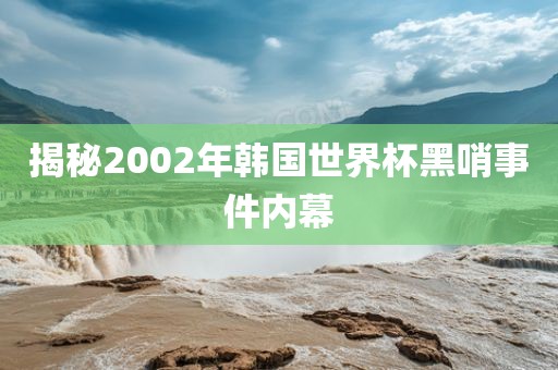 揭秘2002年韩国世界杯黑哨事件内幕
