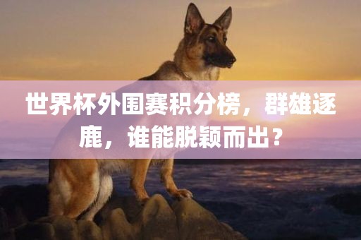 世界杯外围赛积分榜，群雄逐鹿，谁能脱颖而出？