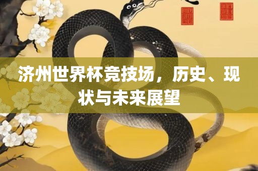 济州世界杯竞技场，历史、现状与未来展望