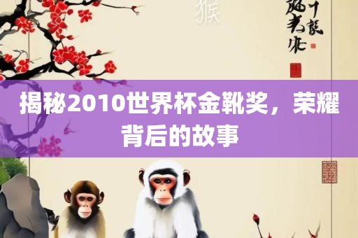 揭秘2010世界杯金靴奖，荣耀背后的故事