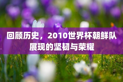 回顾历史，2010世界杯朝鲜队展现的坚韧与荣耀眉山市正发家政服务有限公司