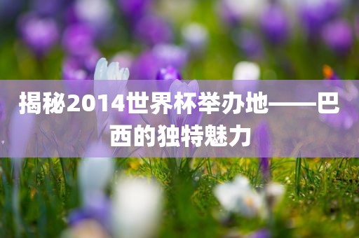 揭秘2014世界杯举办地——巴西的独特魅力