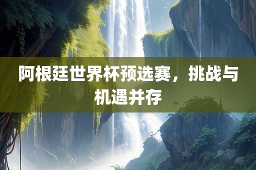 阿根廷世界杯预选赛，挑战与机遇并存