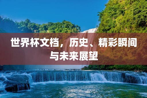 世界杯文档，历史、精彩瞬间与未来展望