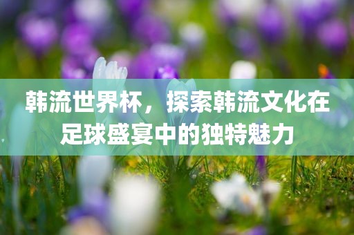 韩流世界杯，探索韩流文化在足球盛宴中的独特魅力