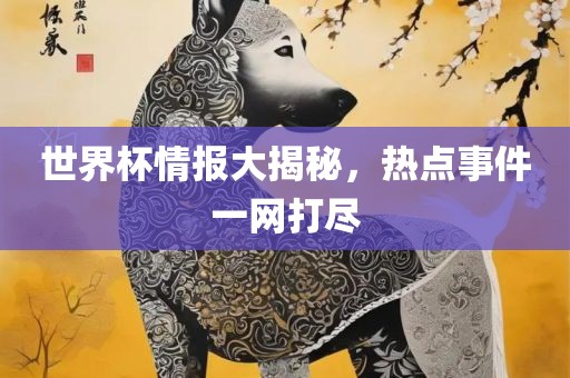 世界杯情报大揭秘，热点事件一网打尽