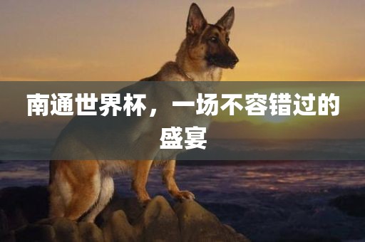 南通世界杯，一场不容错过的盛宴