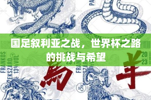 国足叙利亚之战，世界杯之路的挑战与希望