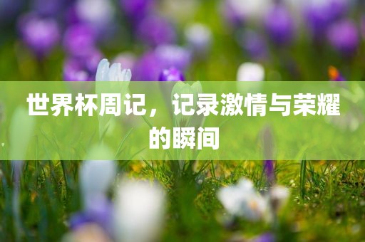 世界杯周记，记录激情与荣耀的瞬间