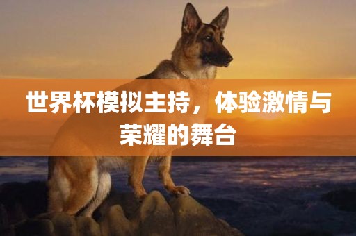 世界杯模拟主持，体验激情与荣耀的舞台