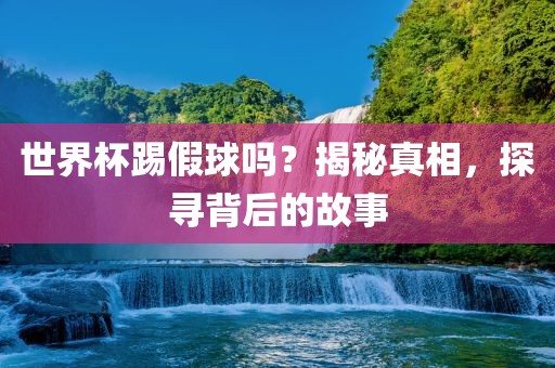 世界杯踢假球吗？揭秘真相，探寻背后的故事