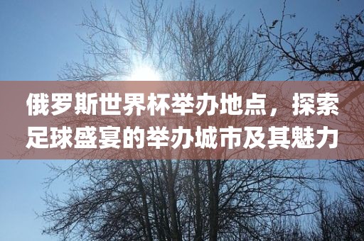 俄罗斯世界杯举办地点，探索足球盛宴的举办城市及其魅力