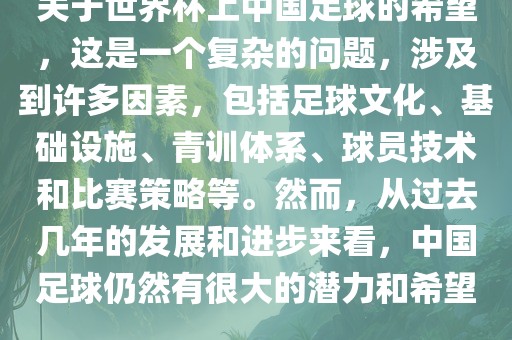 关于世界杯上中国足球的希望，这是一个复杂的问题，涉及到许多因素，包括足球文化、基础设施、青训体系、球员技术和比赛策略等。然而，从过去几年的发展和进步来看，中国足球仍然有很大的潜力和希望。