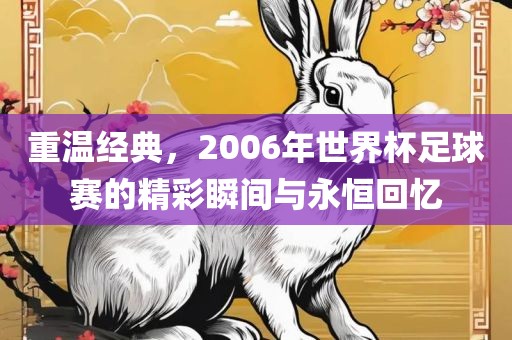 重温经典，2006年世界杯足球赛的精彩瞬间与永恒回忆