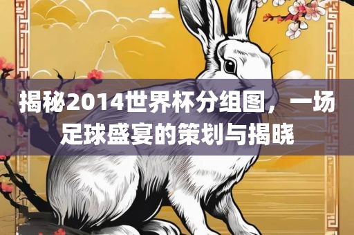 揭秘2014世界杯分组图，一场足球盛宴的策划与揭晓