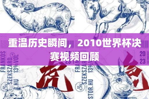 重温历史瞬间，2010世界杯决赛视频回顾