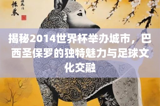 揭秘2014世界杯举办城市，巴西圣保罗的独特魅力与足球文化交融