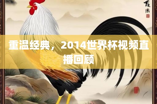 重温经典，2014世界杯视频直播回顾