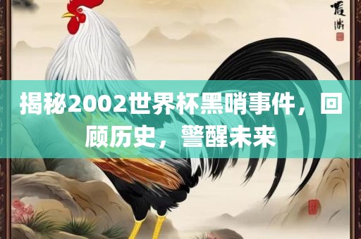 揭秘2002世界杯黑哨事件，回顾历史，警醒未来