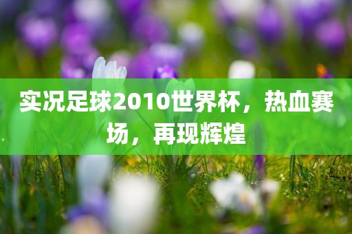 实况足球2010世界杯，热血赛场，再现辉煌