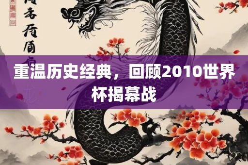 重温历史经典，回顾2010世界杯揭幕战