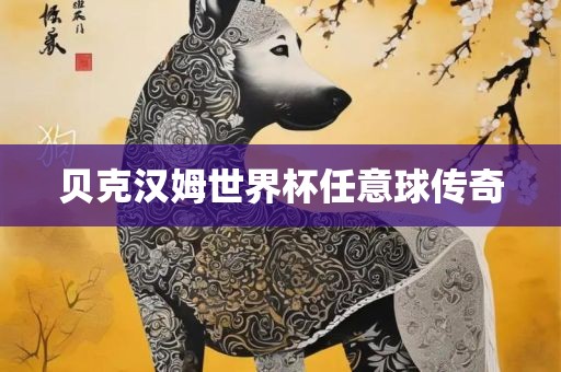 贝克汉姆世界杯任意球传奇
