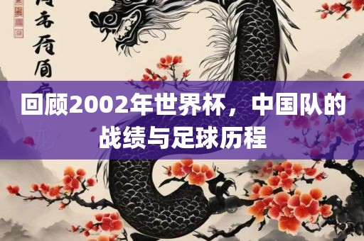 回顾2002年世界杯，中国队的战绩与足球历程