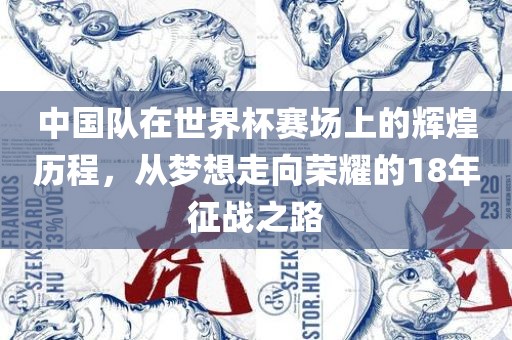 中国队在世界杯赛场上的辉煌历程，从梦想走向荣耀的18年征战之路