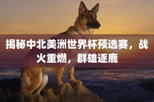 揭秘中北美洲世界杯预选赛，战火重燃，群雄逐鹿