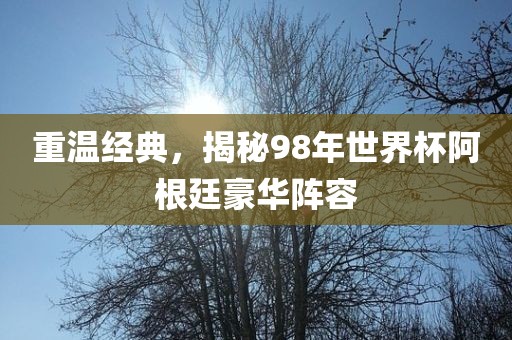 重温经典，揭秘98年世界杯阿根廷豪华阵容