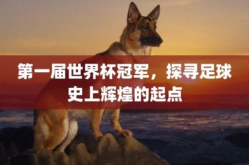 第一届世界杯冠军，探寻足球史上辉煌的起点