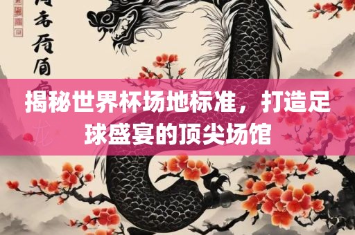 揭秘世界杯场地标准，打造足球盛宴的顶尖场馆