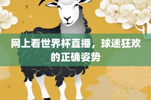 网上看世界杯直播，球迷狂欢的正确姿势