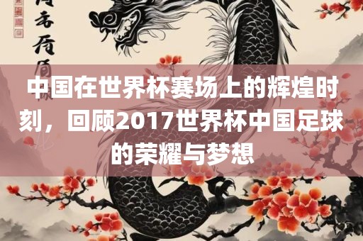 中国在世界杯赛场上的辉煌时刻，回顾2017世界杯中国足球的荣耀与梦想