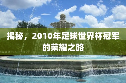 揭秘，2010年足球世界杯冠军的荣耀之路