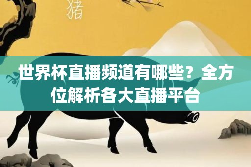 世界杯直播频道有哪些？全方位解析各大直播平台