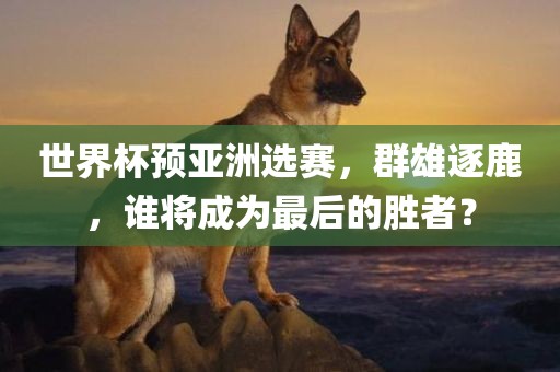 世界杯预亚洲选赛，群雄逐鹿，谁将成为最后的胜者？