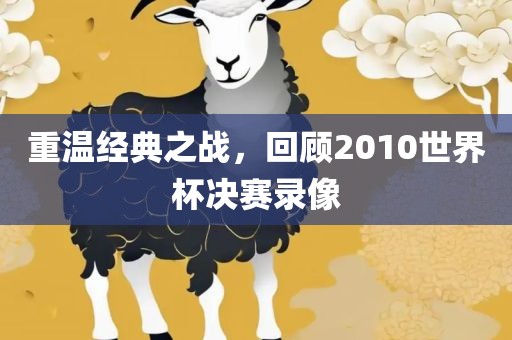 重温经典之战，回顾2010世界杯决赛录像