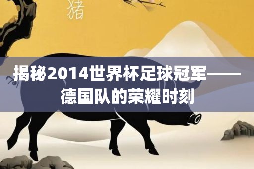 揭秘2014世界杯足球冠军——德国队的荣耀时刻
