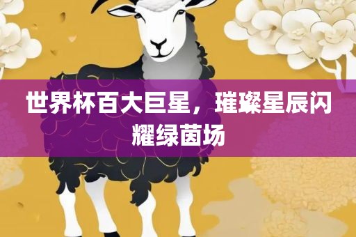 世界杯百大巨星，璀璨星辰闪耀绿茵场