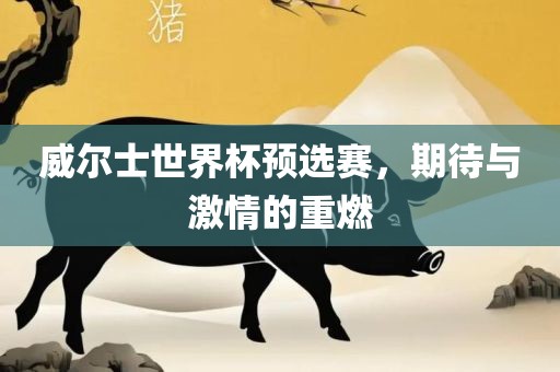 威尔士世界杯预选赛，期待与激情的重燃
