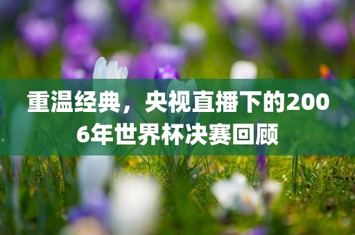 重温经典，央视直播下的2006年世界杯决赛回顾