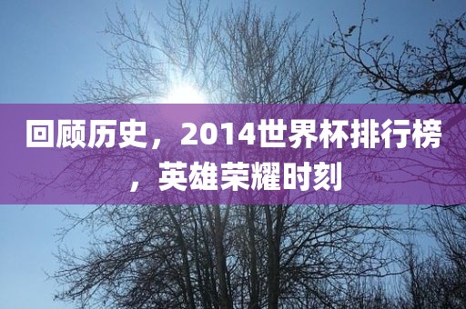 回顾历史，2014世界杯排行榜，英雄荣耀时刻