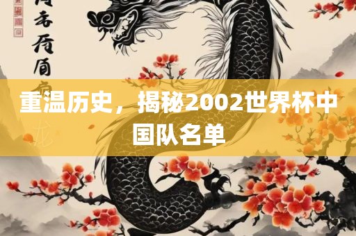 重温历史，揭秘2002世界杯中国队名单